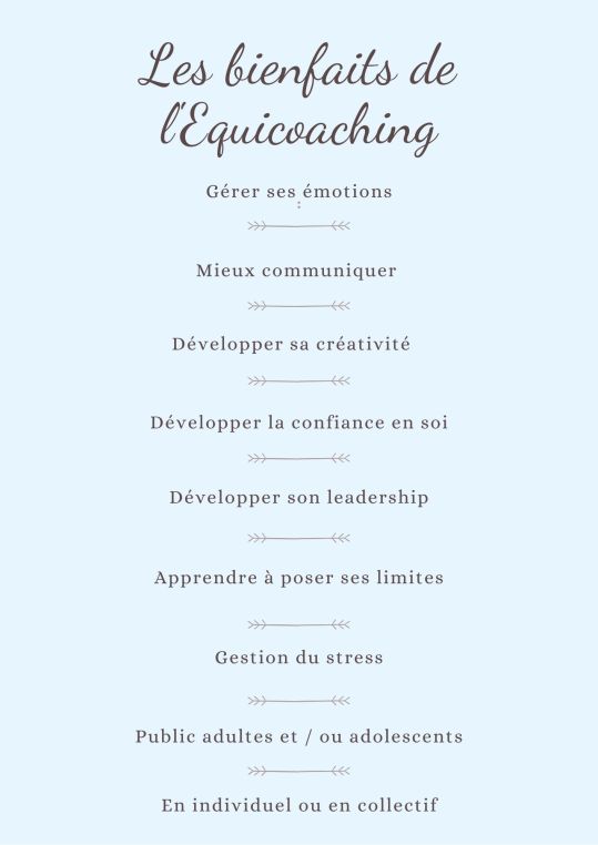 Blue Simple Checklist Goal Interactive Instagram Story (1)